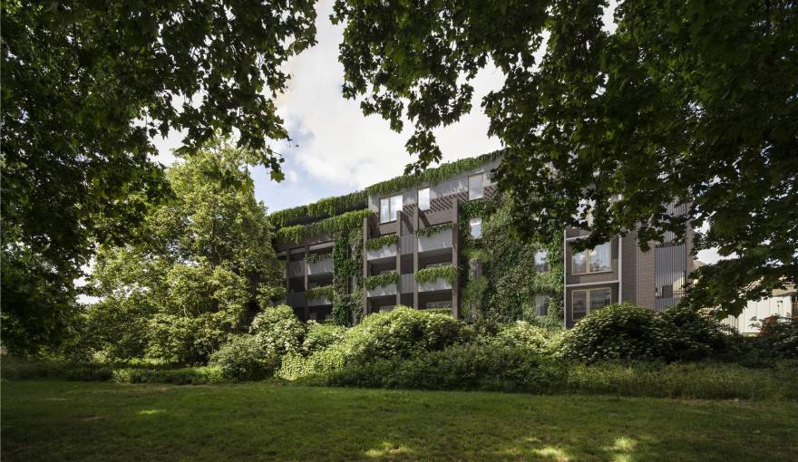 The Sidings in Acton - view
