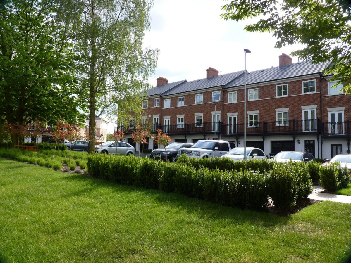 Arboretum in Epping - view