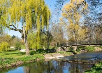 Treswell Gardens in Retford - view