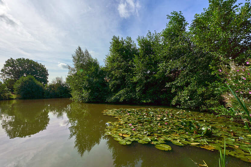 Boorley Park, Boorley Green