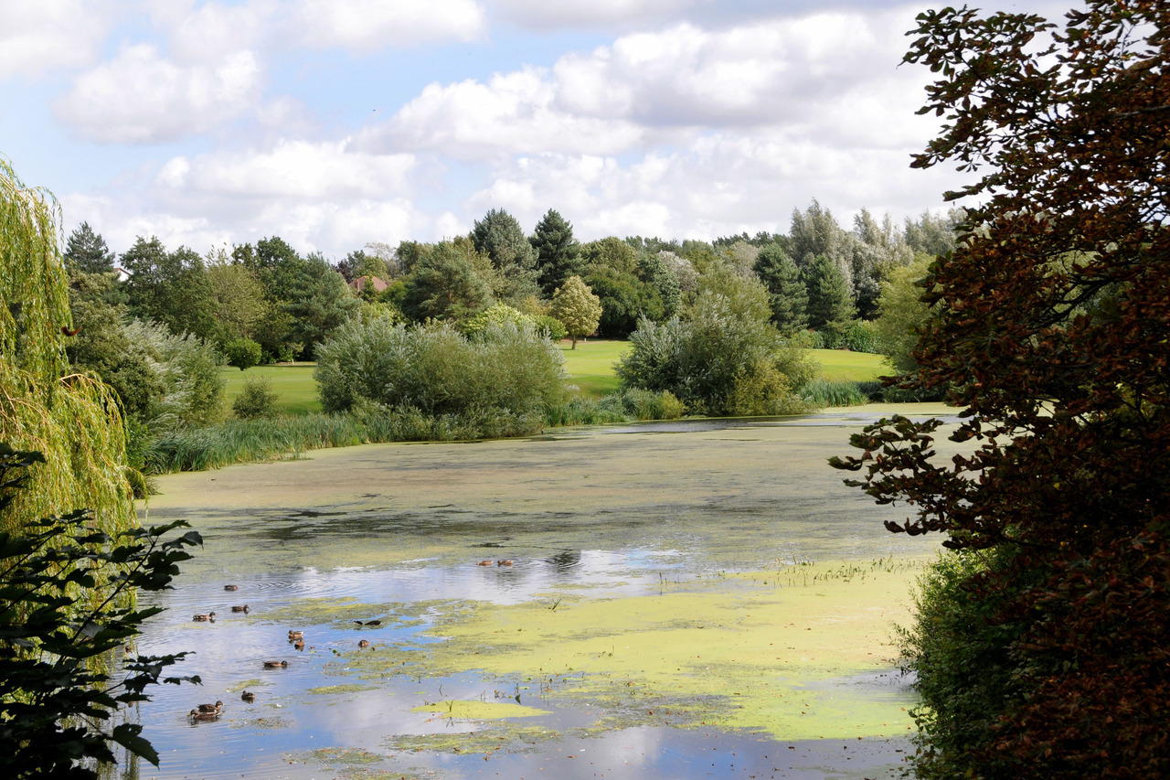 Collingtree Park