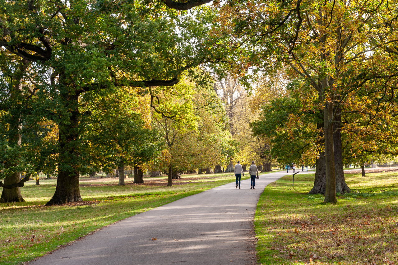 Stamford Gardens
