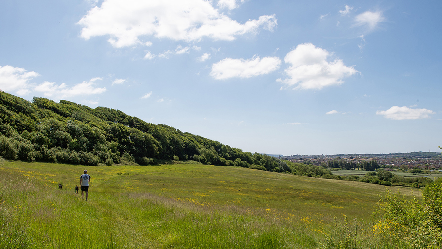 Bincombe Park