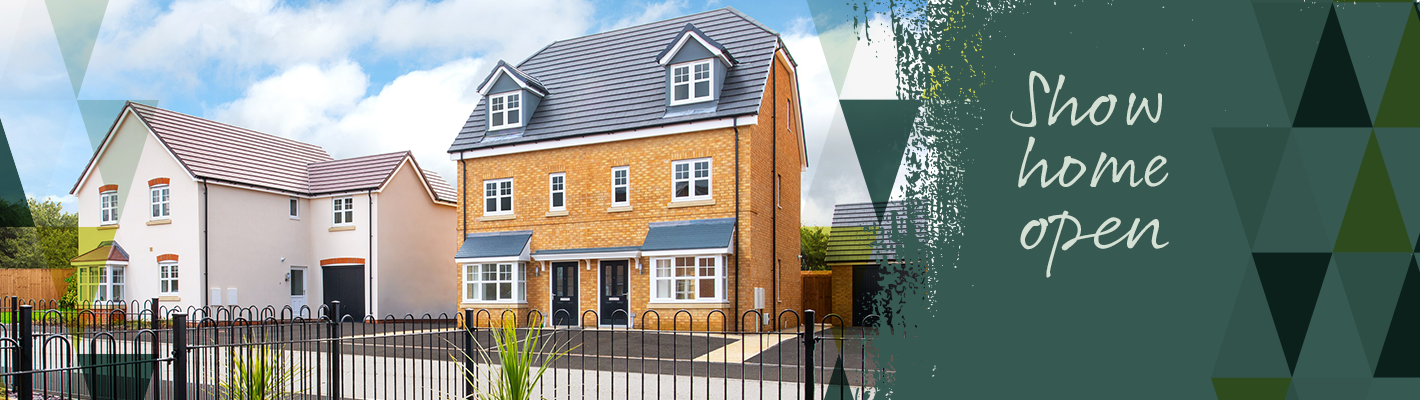 Daltons Way in Skelmersdale - view