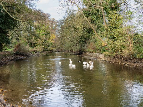 Constable Vale