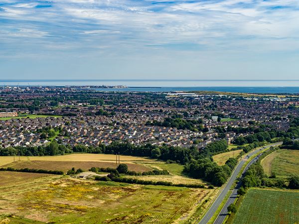 Greatham Meadow