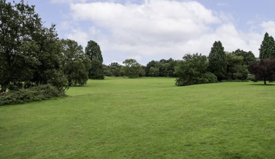 Homewood Grove
