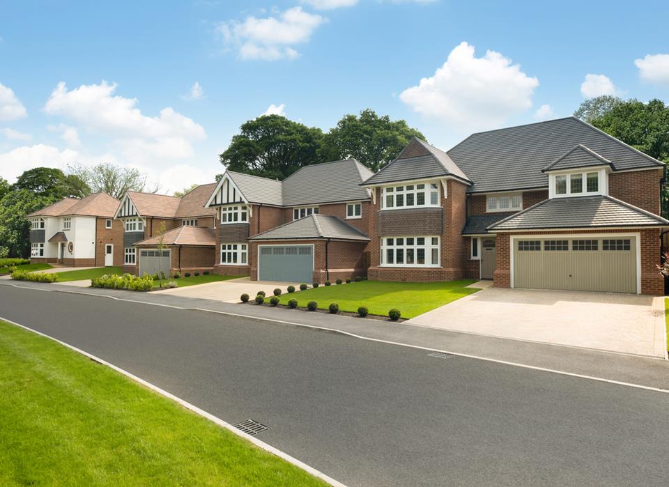 Hampden Meadows