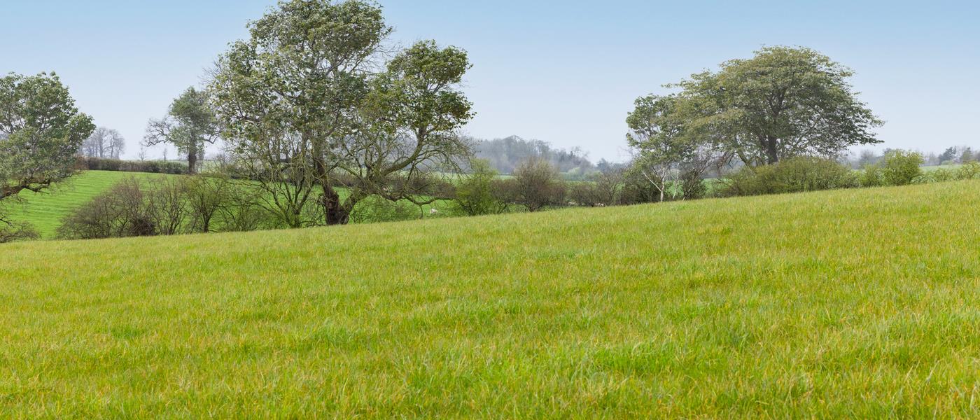 Silverbrook Meadow Webheath - Thumbnail 1