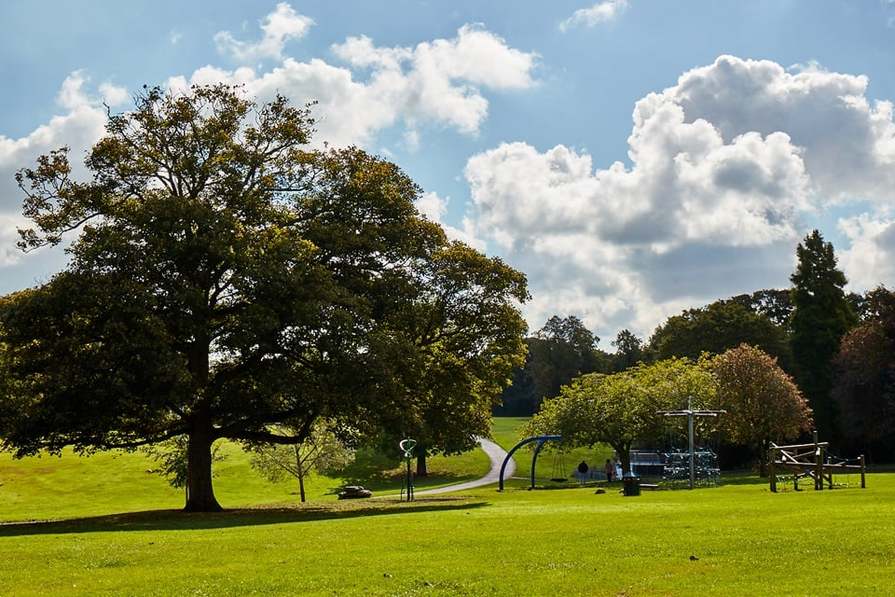 Anderton Green