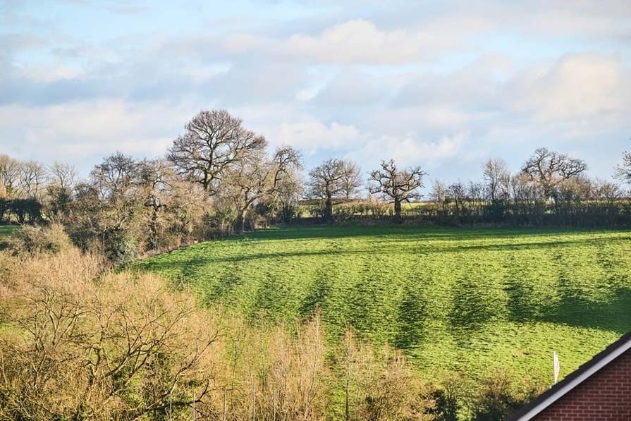 Hamilton Copse