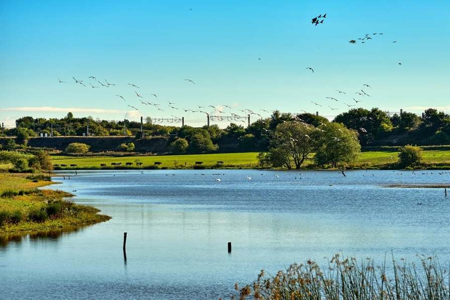 Millstream Meadows in Middlewich - view (image 3 of 17)
