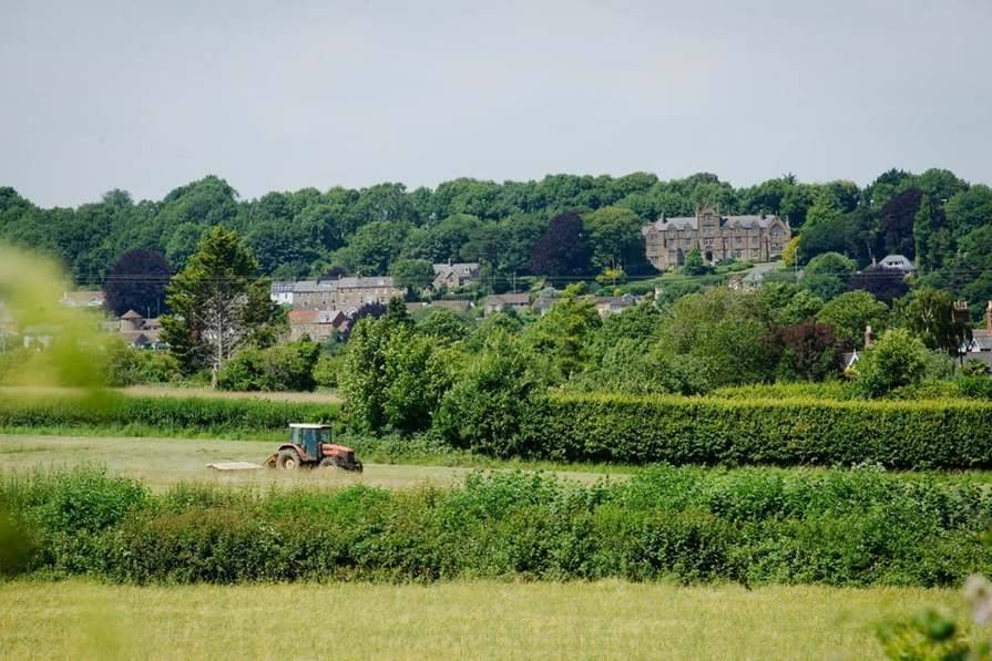 Wool Gardens