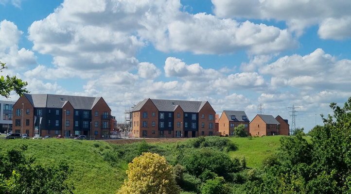 Cotton Lane - Image 1